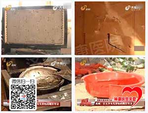 禹城女子家中摔砸 家人苦不堪言向神康扶贫求助